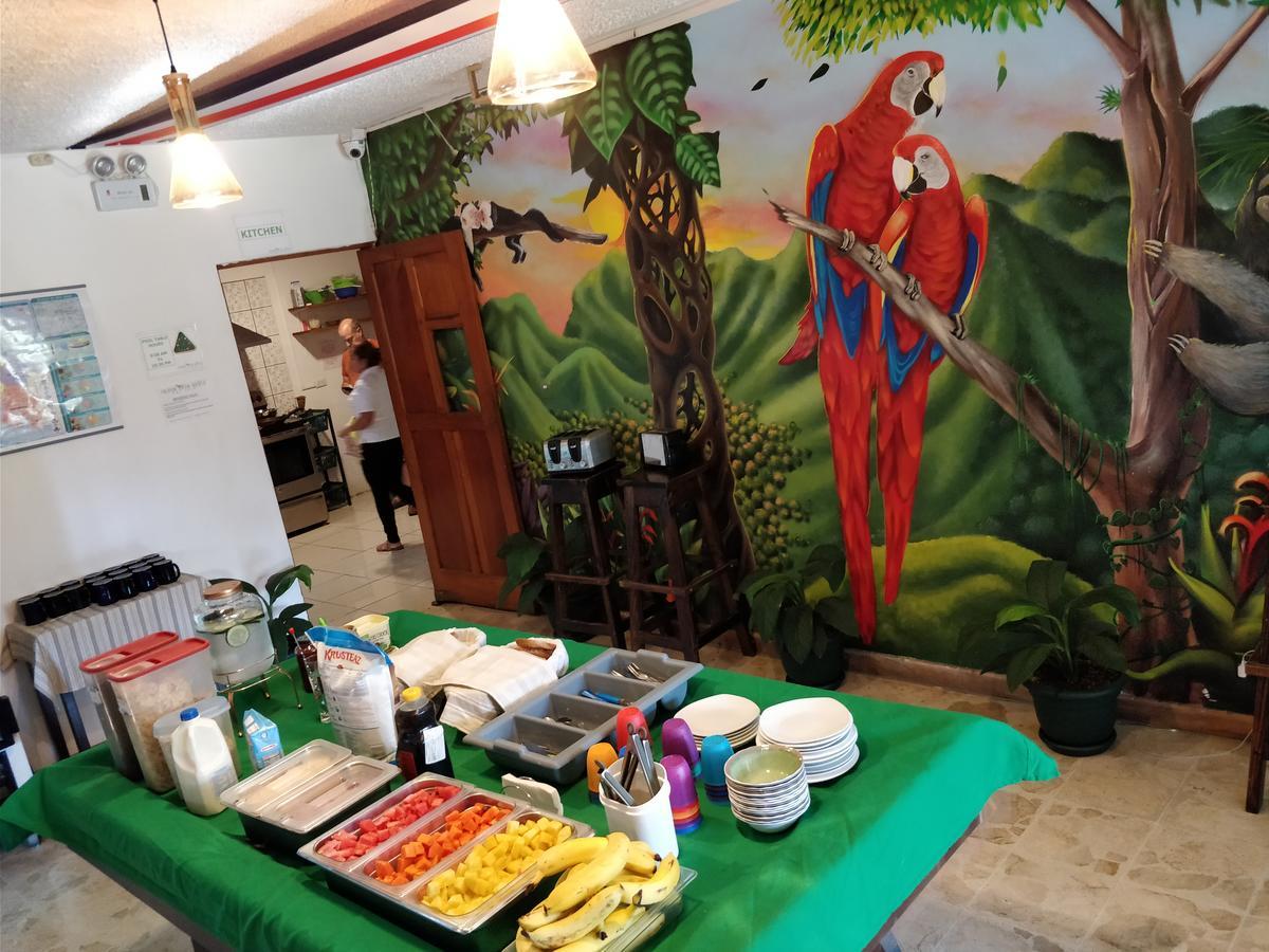 Tripon Open House Hostel San José Kültér fotó
