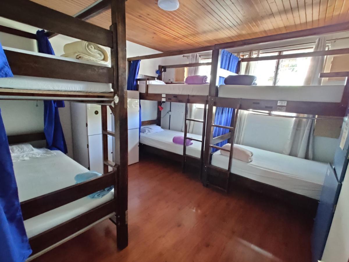 Tripon Open House Hostel San José Kültér fotó