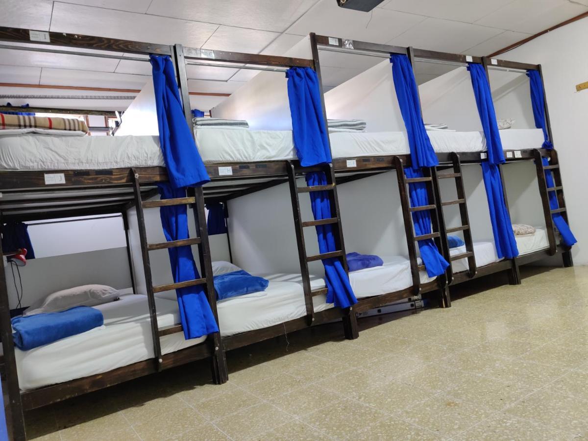 Tripon Open House Hostel San José Kültér fotó